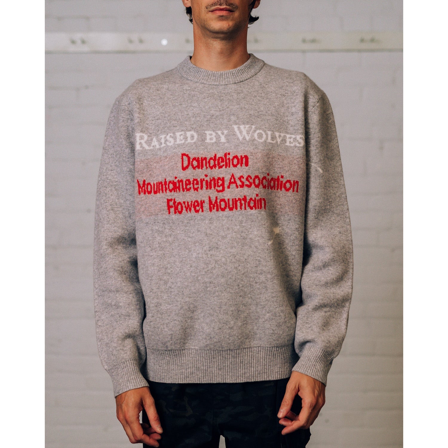 Raised By Wolves DMA Intarsia Sweater Heathered Grey - SWEATERS - Canada