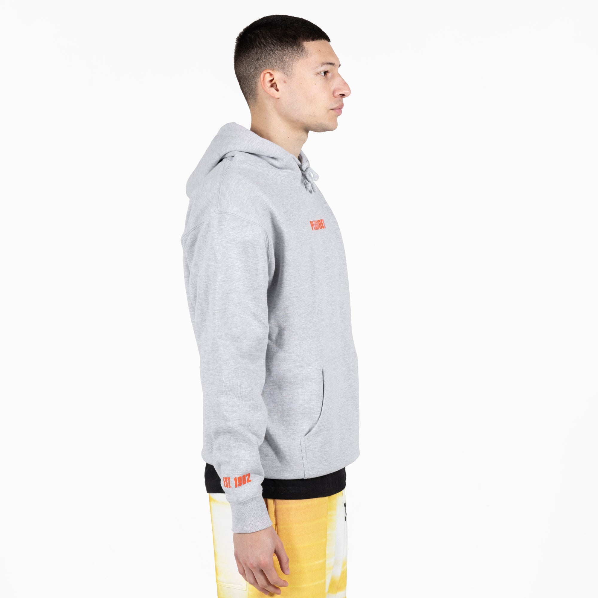 Pleasures Men Art News Hoodie Grey - SWEATERS - Canada