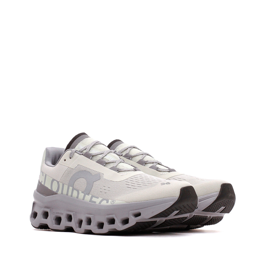 ON Men Cloudmonster Ice Alloy 61.97788 Secondary image