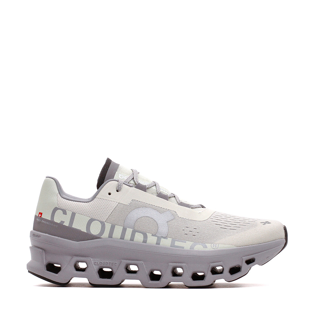 ON Men Cloudmonster Ice Alloy 61.97788 - FOOTWEAR - Canada Main image