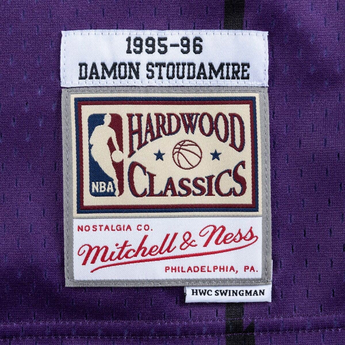 Mitchell & Ness Men NBA Toronto Raptors Swingman Jersey Damon Stoudamire Purple ’95-96 SMJYXTRALDSD95 - TANK TOPS - Canada